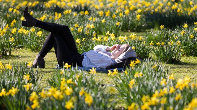 Con flores y mucha luz viene la sinergia Primavera y Día de la Juventud