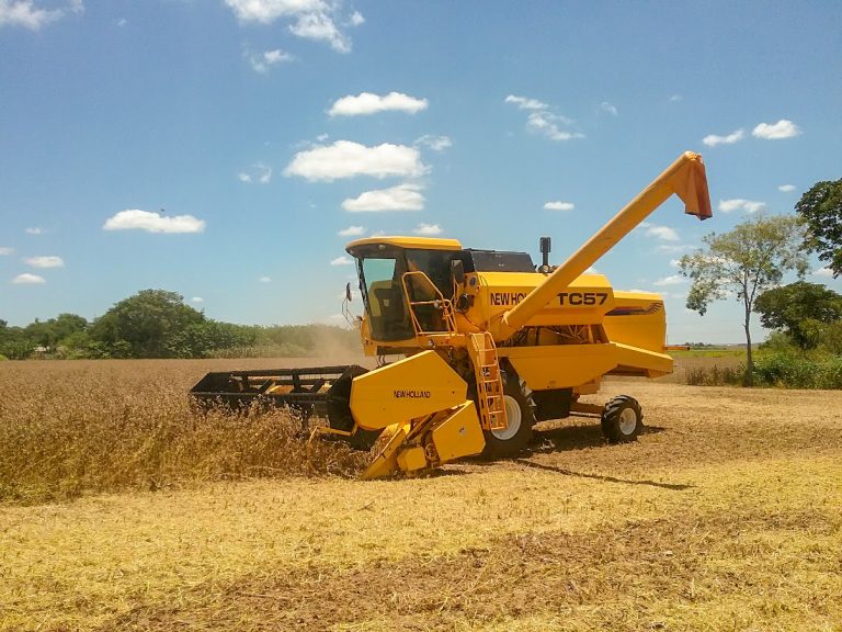 Arroz y trigo se destacan en una semana de ajustes en el mercado agrícola internacional