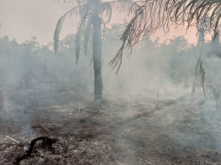 Otra vez arde Bolivia muy cerca de Paraguay