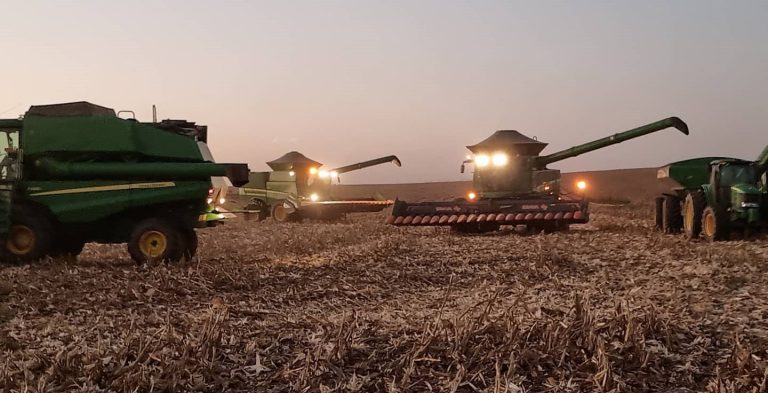 Cierres al alza en semana de bajas en el mercado agrícola