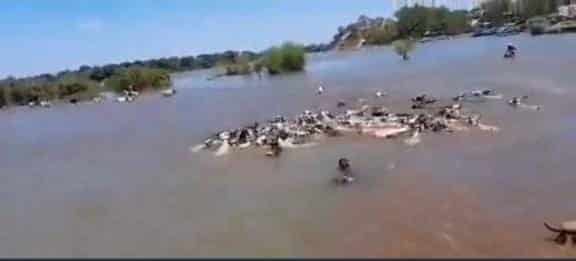 Aumentan las inundaciones en las Tres Fronteras y crean zozobra en el Este y Sur de Paraguay