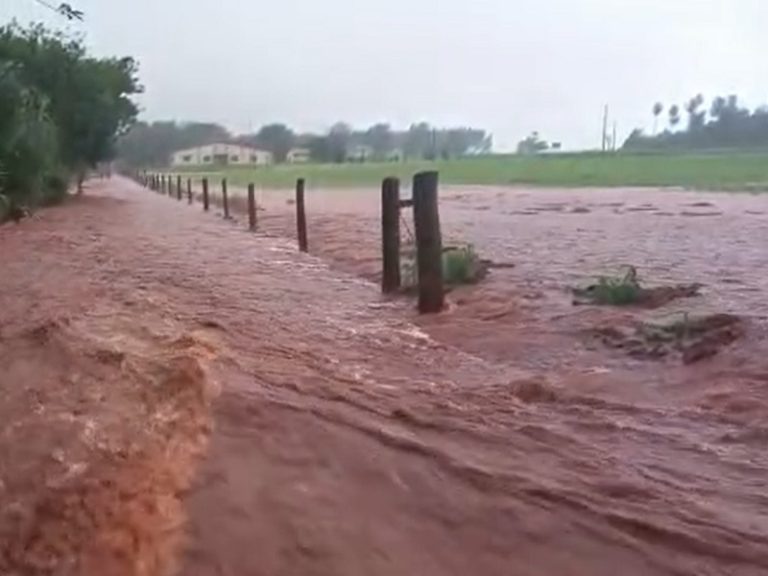 Luego de tres años de sequía, El Niño se posicionará para la zafra 2023/24