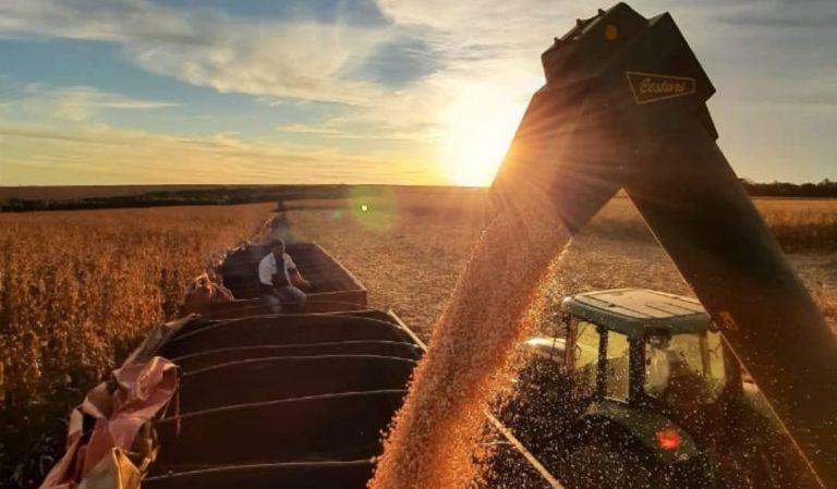 Subas en arroz y azúcar contrastan con la baja de precios en los granos