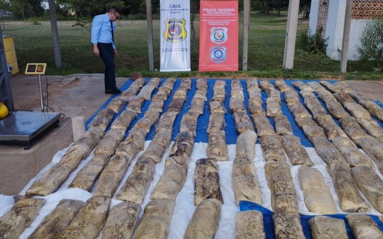 Caen 1.648 kilos de cocaína escondida en varios cargamentos de soja