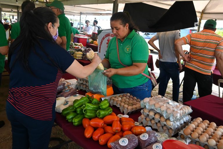 1.100 productores culminaron un programa para fortalecer sus emprendimientos