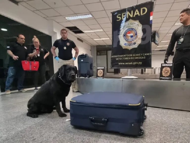 Agentes de la Senad encontraron cocaína negra en el aeropuerto de Luque