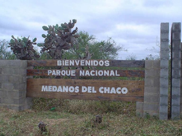 Modificaciones a la Ley de protección del Médanos del Chaco fue rechazada