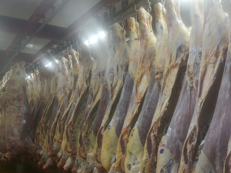 Gobierno canadiense habilitó su mercado para la carne paraguaya