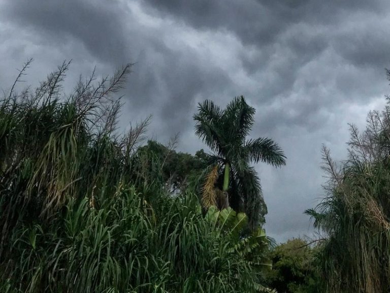 Más lluvias dan inicio a la semana