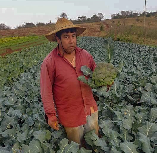 Productores copatriotas luchan por su cuota en el mercado hortícola frente a contrabando masivo