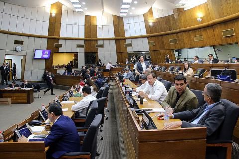 Sin mucho debate, los diputados aprueban fusión de la SET con Aduana para unificar recaudación