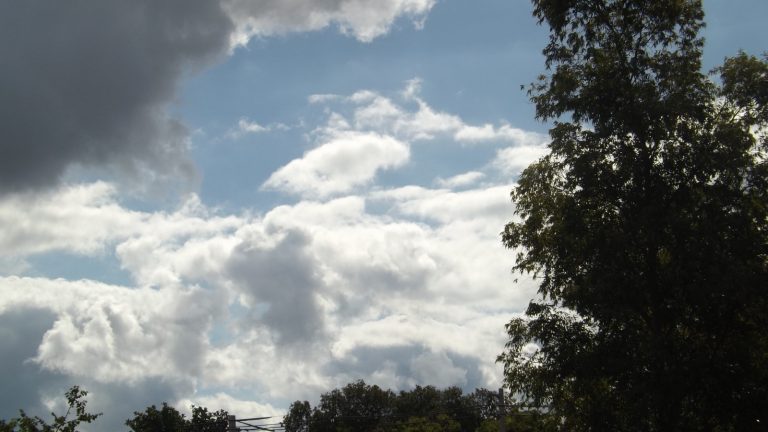 Martes con sol, mañana lluvia hasta el inicio del fin de semana