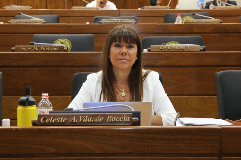 La suspensión de la ex diputada, Celeste Amarilla, fue correcta, dice la Corte Suprema