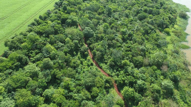 Paraguay refuerza su compromiso con la conservación ambiental