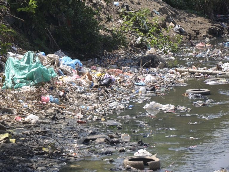 Alarmante falta de conciencia ambiental