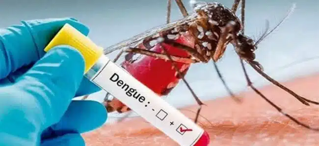 Salud advierte a la población sobre posible epidemia de dengue de gran magnitud