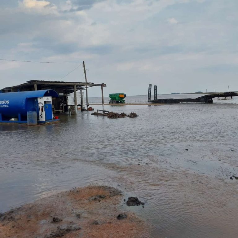 Drama de los arroceros: un problema social y económico grave que requiere atención de las autoridades