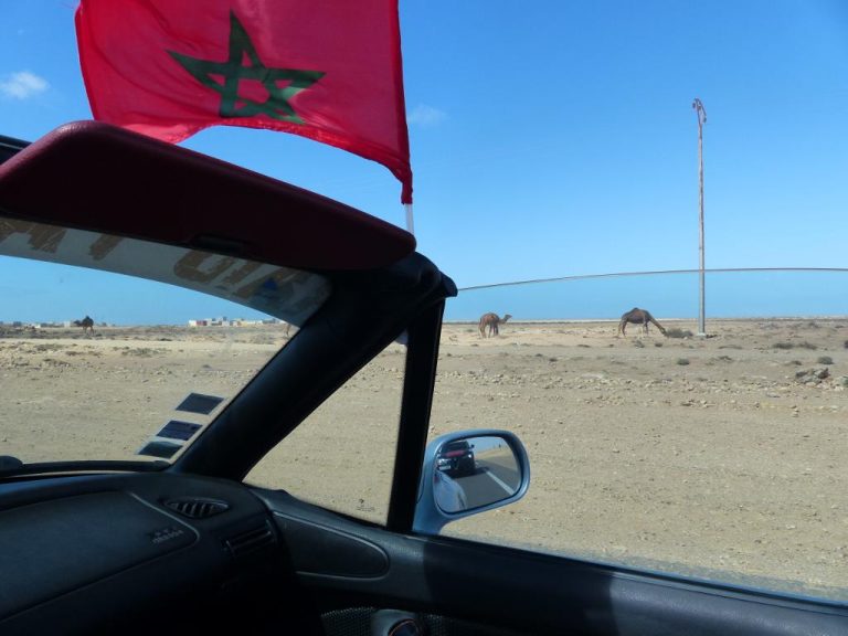 Dakhla, entre las aguas del Atlántico y las arenas del Sahara