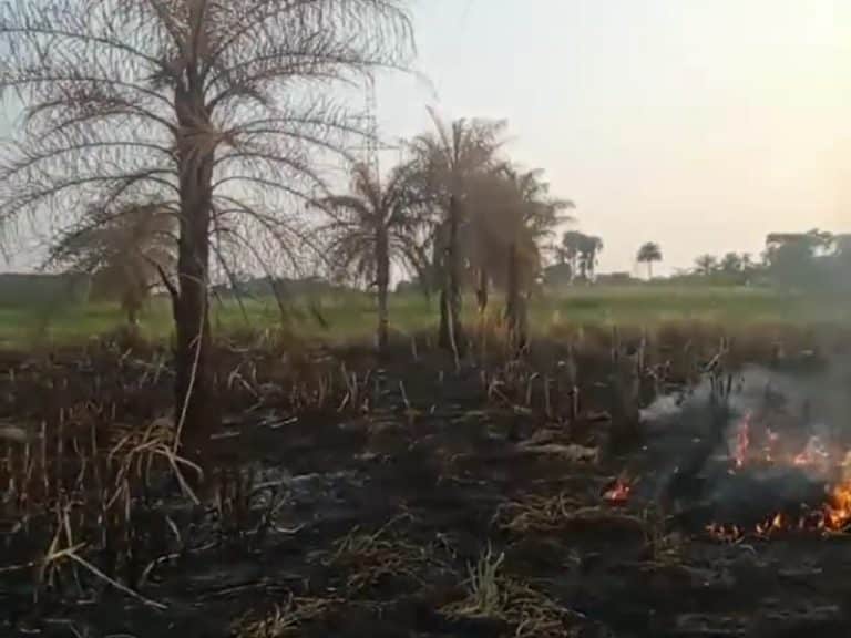 Incendios forestales dejan fuera de servicio a la ANDE