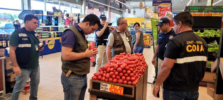 Operativo simultáneo logra incautar gran cantidad de tomates