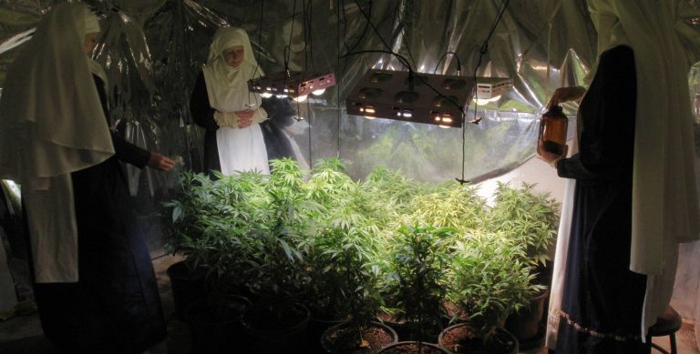 Viven vestidas de monjas, pero no lo son; son productoras y consumidoras de marihuana