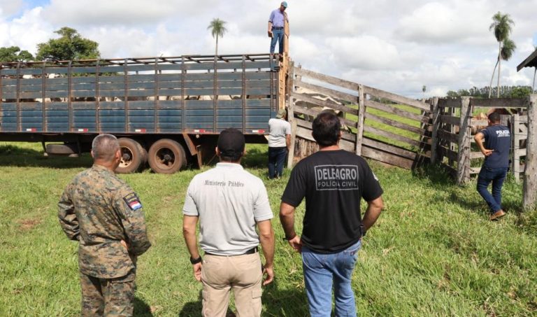 La Policía y la Fiscalía recuperaron 123 ganados de 162 que fueron robados en Concepción