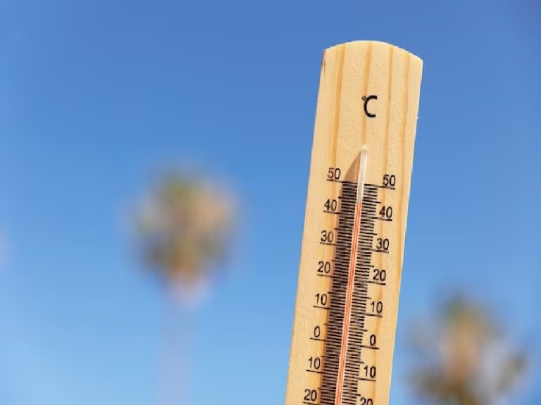 Verano seguro para todos: Consejos cruciales para una temporada de calor saludable