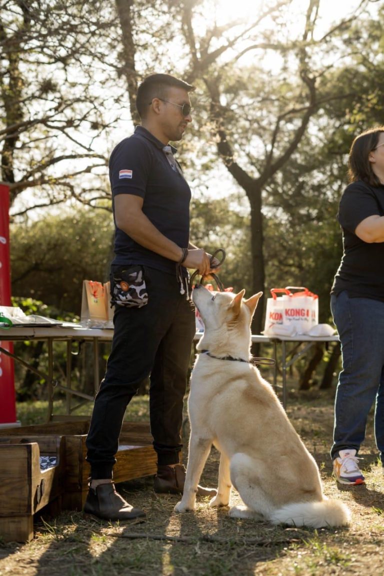 Entre ladridos y aprendizajes: una charla con Psicodog sobre adiestramiento canino a domicilio y el bienestar animal en Paraguay.