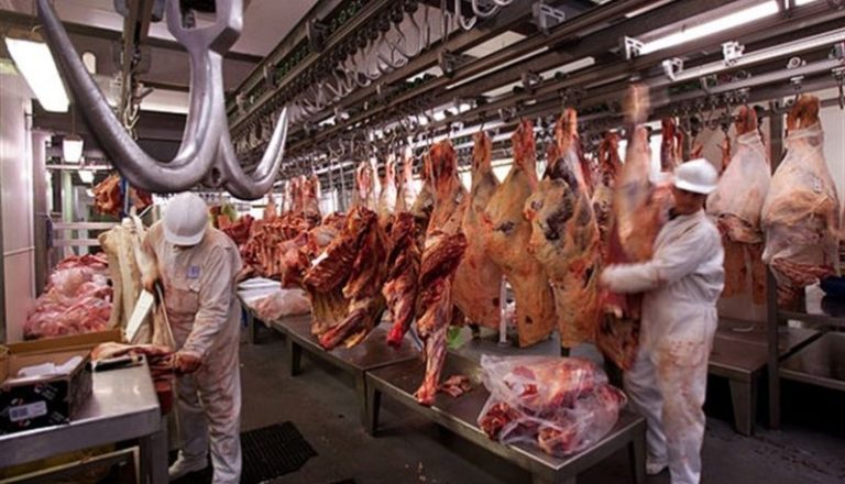 Arabia Saudita habilitó a siete frigoríficos paraguayos para exportar carne bovina