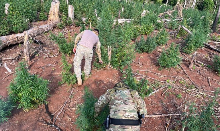 Brasil y Paraguay lanzaron Operación Basalto, contra crimen organizado en las fronteras