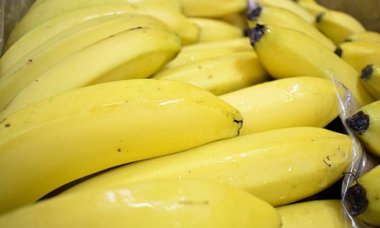 Paraguay enviará el miércoles el primer cargamento de banana a Chile