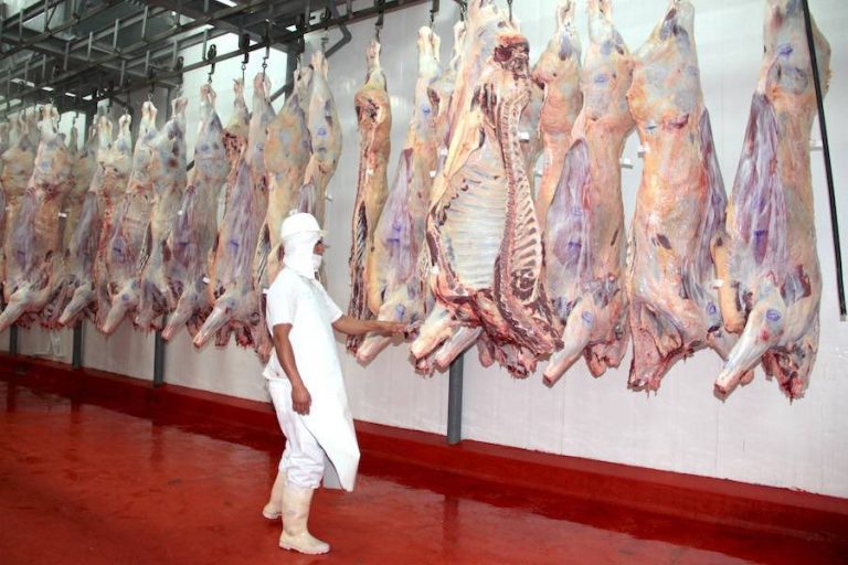 Paraguay puede seguir enviando carne a EE.UU.