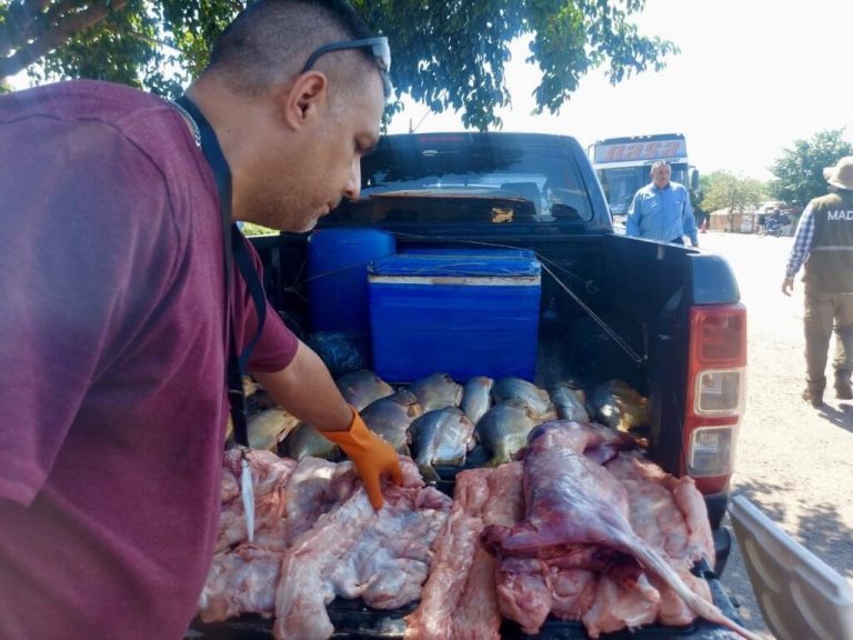 Mades decomisó piezas de animales silvestre