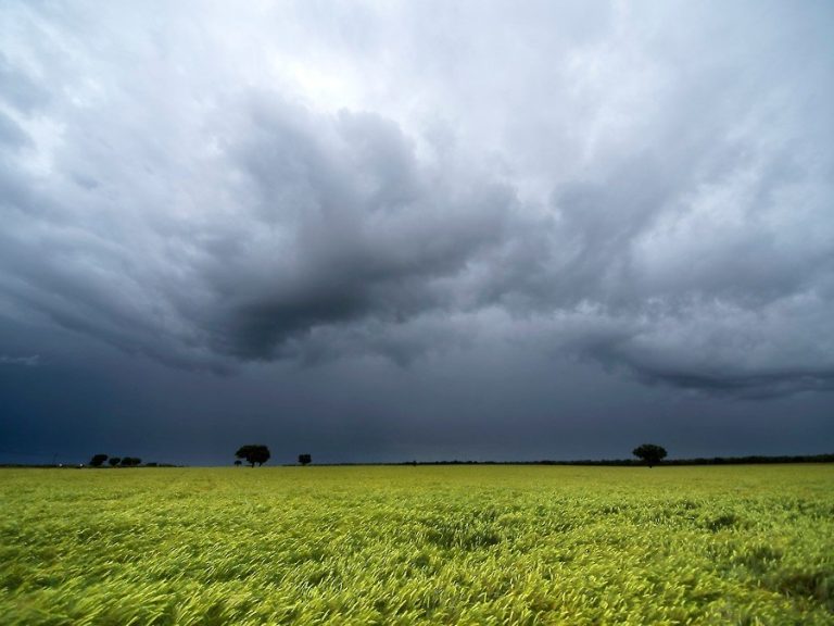 Siguen las lluvias con mejorías parciales