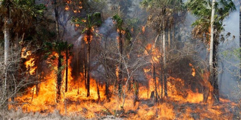 Incendios se extinguieron gracias a las lluvias