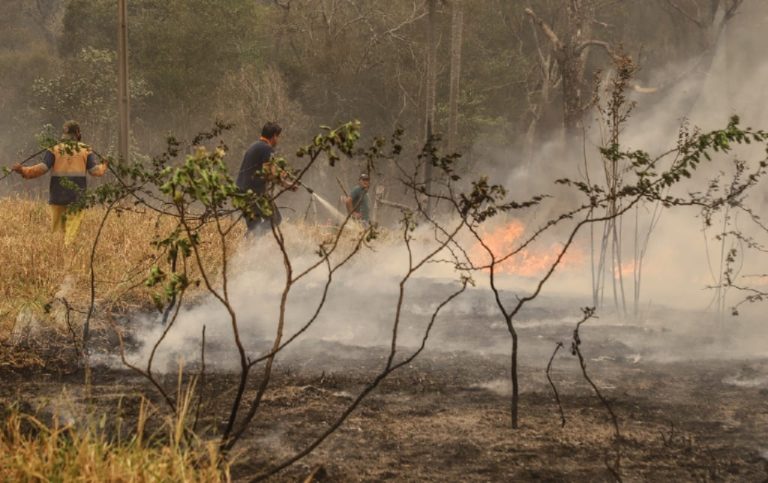 Bomberos, cansados de pirómanos que realizan quemas intencionales