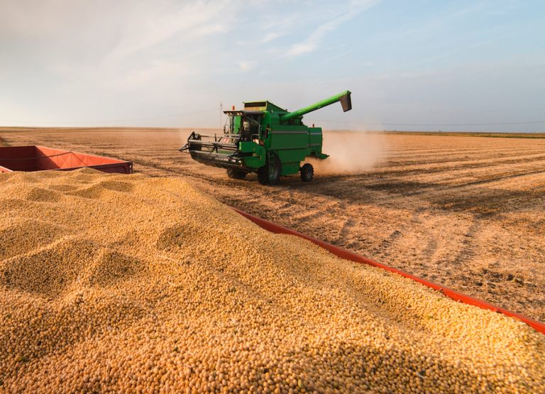 Valores de la soja a setiembre caen pero no desanima a productores