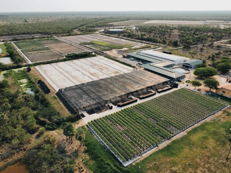 El Chaco destaca como gran atractivo para los inversores