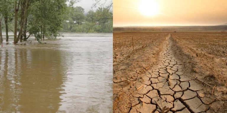 El fenómeno climático La Niña se instalaría a fines de julio