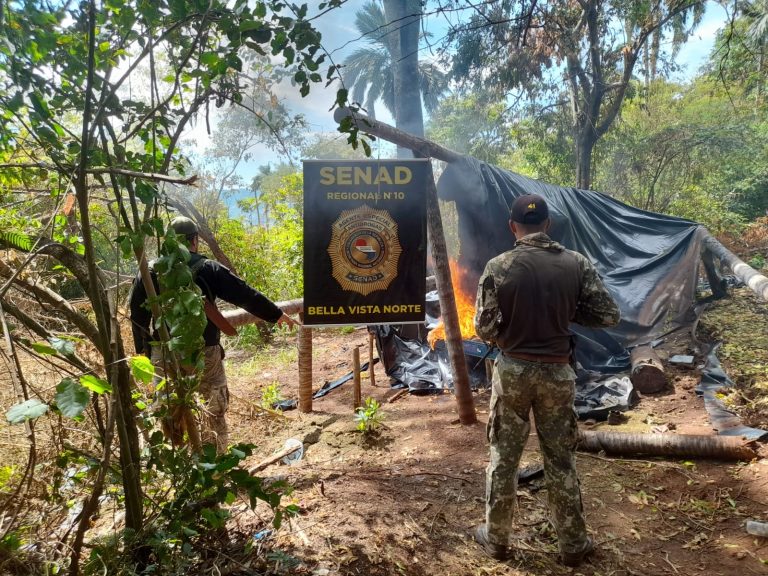 Grandes pérdidas económicas para narcos del Amambay