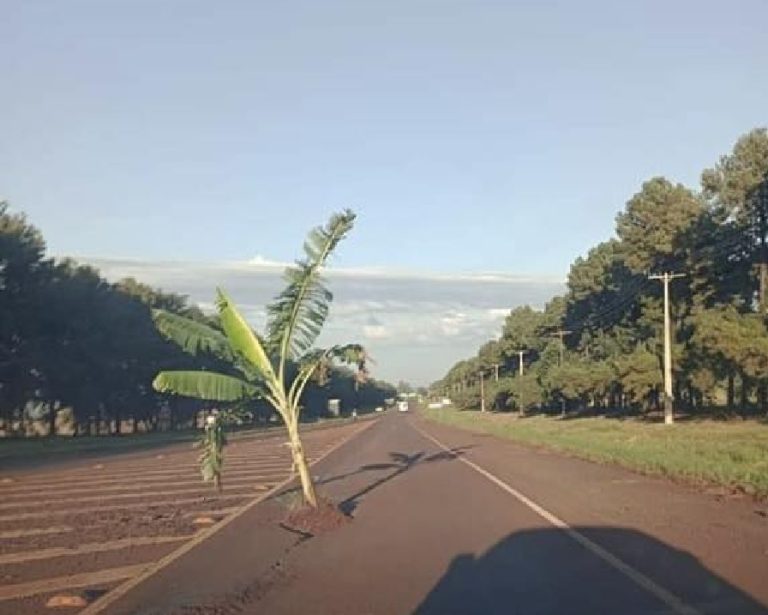 Ingenio paraguayo en acciones contra baches