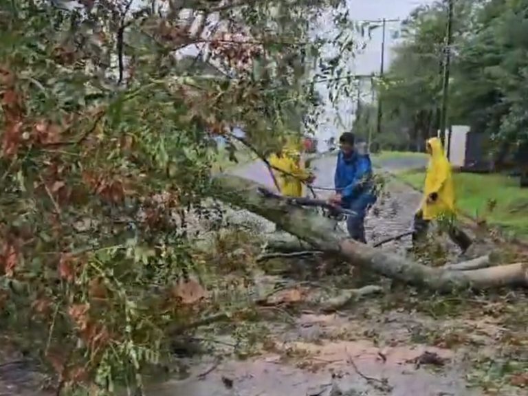 Temporal dejó graves daños y un herido en su paso por Itapúa