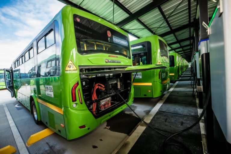 Paraguay aspira a “electrificar” el transporte público