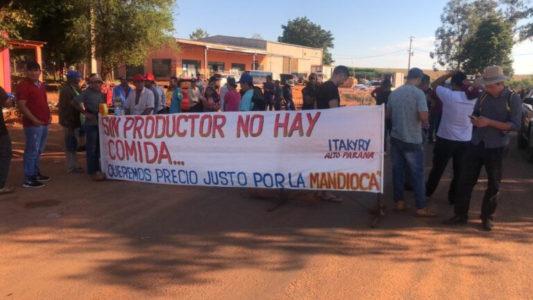 Productores de mandioca vuelven exigir mejor precio