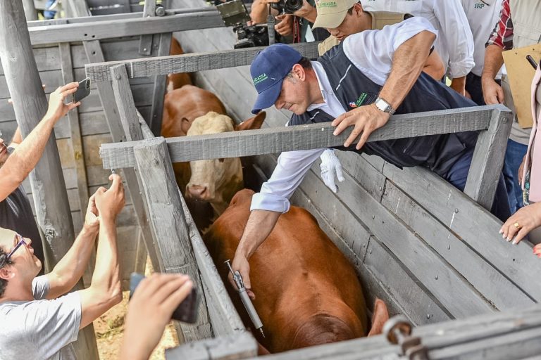 Paraguay seguirá vacunando contra la fiebre aftosa hasta 2026