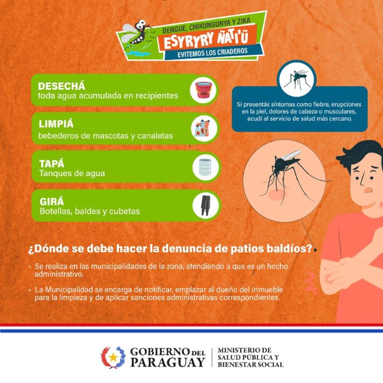 Preocupa a Salud los casos de dengue en el país