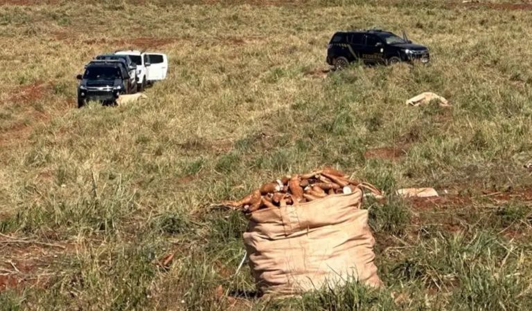 Más esclavos paraguayos fueron rescatados en Brasil