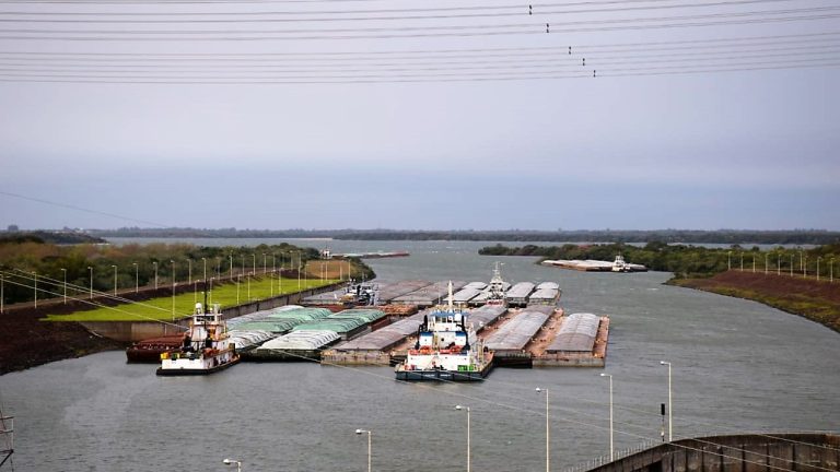 Paraguay llega a su mayor nivel de exportación de soja