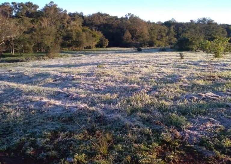 Heladas cubren de blanco suelos de Itapúa y Ñeembucú