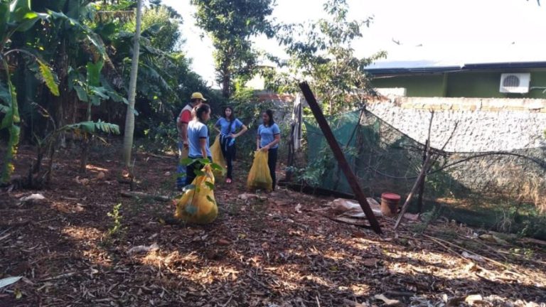 Los casos de dengue aumentan 104% en dos semanas